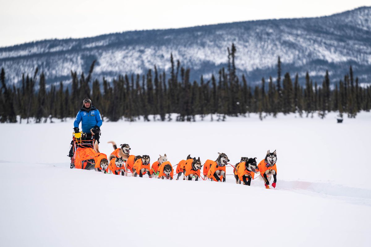 2020 Iditarod Thomas Waerner Jessie Royer