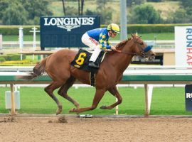 Charlatan, seen here winning a March allowance by 10 1/4 lengths at Santa Anita, enters his first stakes race Saturday. He's in the Arkansas Derby's first division. (Image: Benoit Photo)