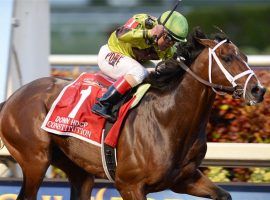 Constitution blew away the competition in the 2015 Donn Handicap. But he's blowing away the competition as a sire in 2020. (Image: WinStar Farm)