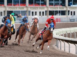 Fonner Park will continue to attract record handles into May. The suddenly popular Nebraska track received an extension for another season of racing. (Image: Grand Island Independent)