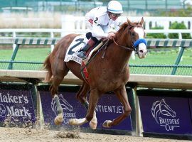 Improbable could be a probable winner of Saturday's Oaklawn Handicap. But the talented horse needs to overcome starting and finishing issues. (Image: Coady Photography/Churchill Downs)