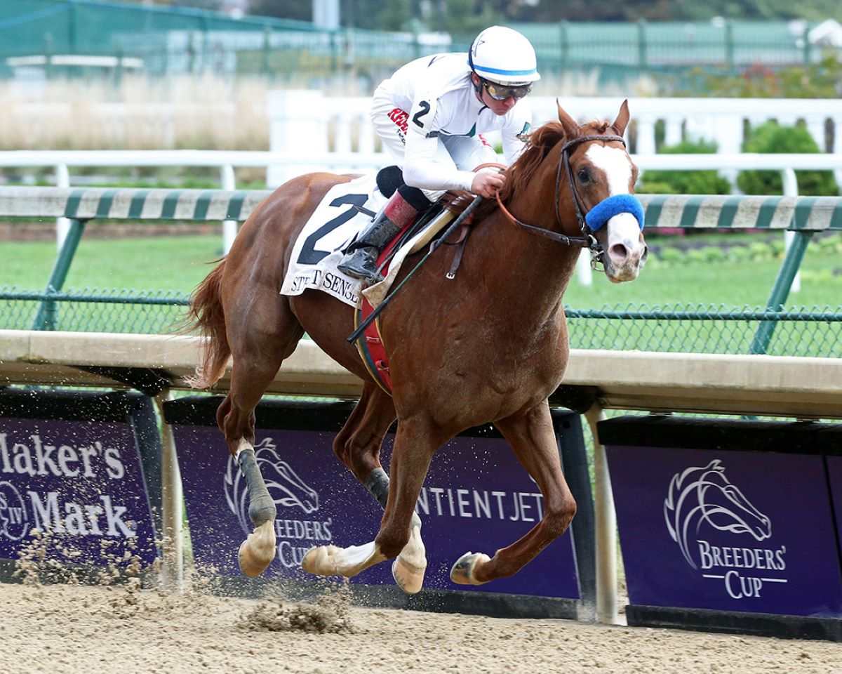 Improbable at BC Dirt Mile