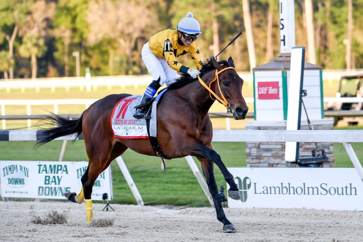 King Guillermo-Tampa Bay Derby