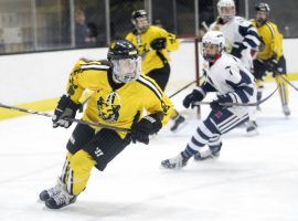 The NWHL announced that it is adding a Toronto expansion team for the 2020-21 season, bringing the league to six teams. (Image: Michelle Jay)