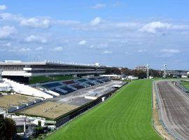 Nakayama Racecourse in Chiba, Japan is one of the world's largest. It will be spectator-free for Sunday's first leg of the Japanese Triple Crown -- the Satsuki Sho. (Image: ntainbound.com)