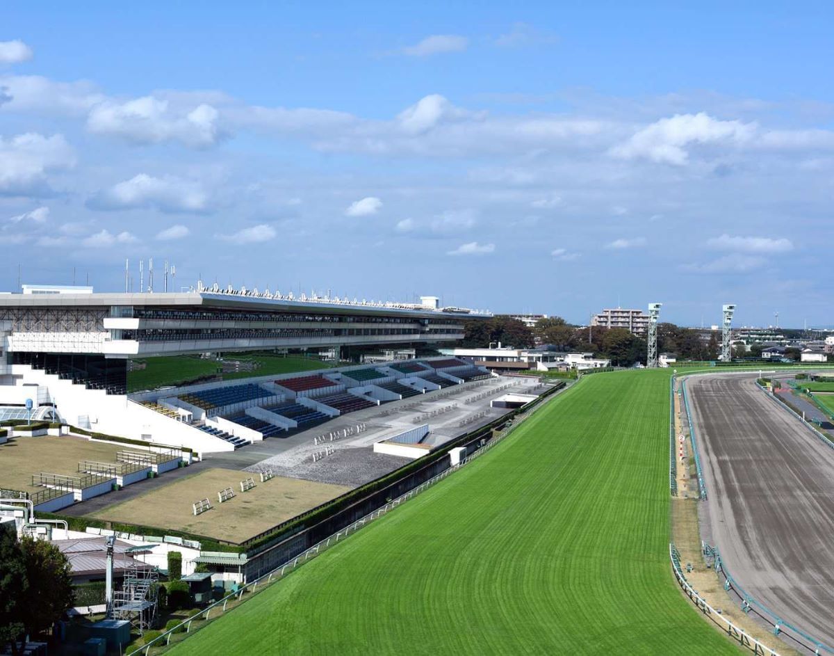 Nakayama Racecourse-Satsuki Sho