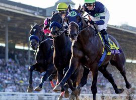 Storm the Court was a 45/1 shot to win the Breeders' Cup Juvenile last November. He'll face shorter odds, but tougher competition in the Arkansas Derby. (Image: Eclipse Photography)