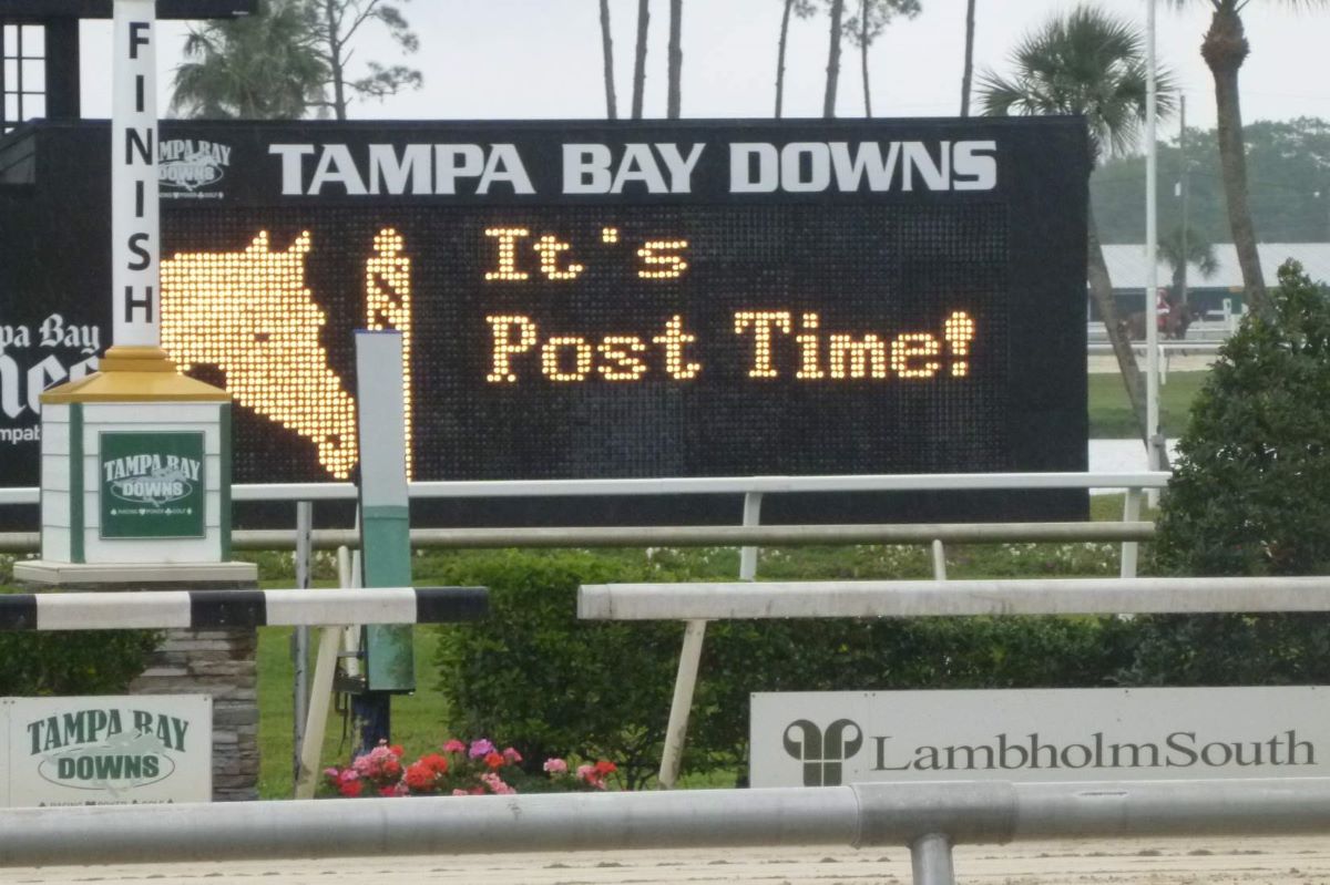 Tampa Bay Downs-Extension