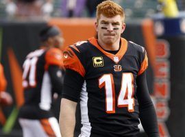 The Cincinnati Bengals released quarterback Andy Dalton on Thursday after nine seasons. (Image: USA Today Sports)