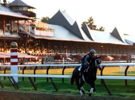 Dating to 1863 and defining the sport of kings in the United States, probably no race track in the country holds the history, charm and heritage of Saratoga in upstate New York. (Image: AP)