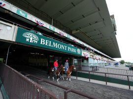 NYRA instituted new safety and claiming regulations the organization said should create a safer, more equitable track for horses. (Image: Brad Penner/USA Today)
