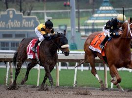 Sunday's Santa Maria Stakes figures to be another stretch duel between Ce Ce (right) and Hard Not to Love. Ce Ce beat her rival in March's Beholder Mile. (Image: Keith Birmingham/SCNG)