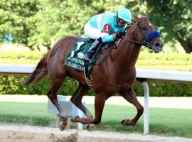 Charlatan has a fruitful future in the breeding shed after he finishes beating his fellow thoroughbreds like he did here in the Arkansas Derby. (Image: Coady Photography)