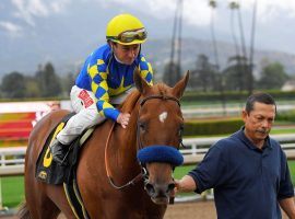 Rarely has Charlatan had to stare down his opponents. He faces his first true test in the first division of Saturday's Arkansas Derby. (Image: Mark Terrill/AP