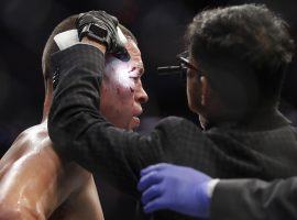 The Association of Ringside Physicians backed off its recommendation to postpone all combat sports, but still wants organizers to take all necessary precautions. (Image: AP)