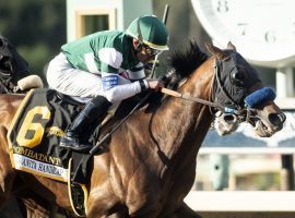 Combatant pulled off a mild upset in winning March's Santa Anita Handicap. The 5-year-old is a 4/1 favorite to win the Oaklawn Handicap. (Image: Benoit Photo for AP)