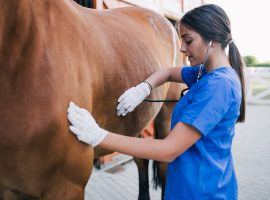 As racetracks reopen, the NTRA issued extensive safety procedures for everyone from executives to veterinarians and their assistants. (Image: iStock)