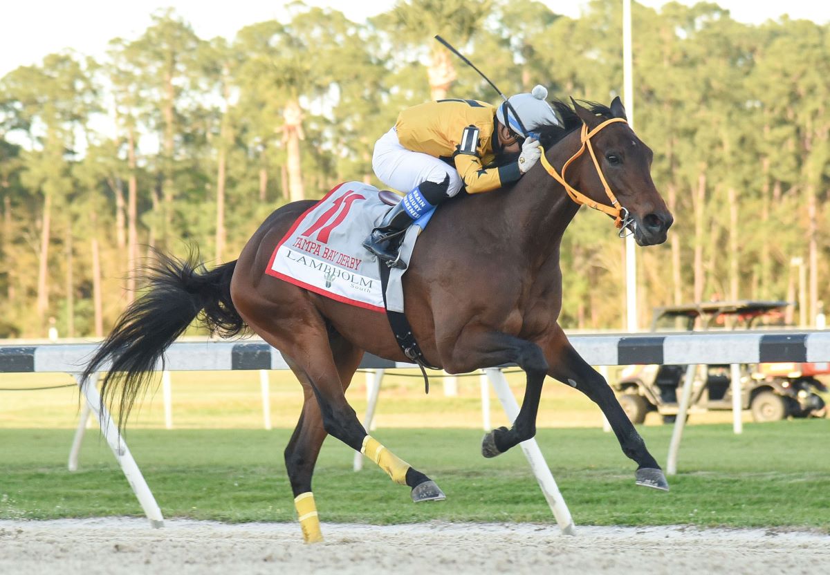 King Guillermo Passing Belmont