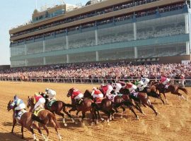 The sight of fans in the stands will greet horses at Texas' Lone Star Park. The track can reopen after Friday with 25% capacity. (Image: Lone Star Park)