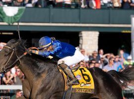 Favored in the Matt Winn Stakes, Maxfield is the best horse in the field. But is there value elsewhere in this Kentucky Derby prep? (Image: Jordan Thomson)
