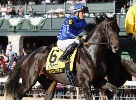 The last time we saw Maxfield race, he came from ninth to first to win the Breeders' Futurity last October. He returns to the gate Saturday after 7 1/2 months off. (Image: Eclipse Sportswire)