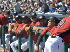 The Tri-City ValleyCats prepare for a game on June 12, 2019. Minor League Baseball teams cut hundreds of players on Thursday, with more releases expected soon. (Image: Joe Boyle/Troy Record)
