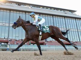 In winning the tougher second division of the Arkansas Derby, Nadal remained unbeaten. The Bob Baffert-trained cold also took over the Kentucky Derby points lead. (Image: Coady Photography)