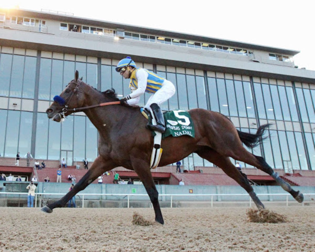 Nadal Winning Arkansas Derby