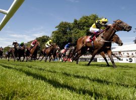 Newmarket's Rowley Mile track won't be grounded if UK racing resumes June 4. Two Classics: the 2,000 and 1,000 Guineas, are tentatively scheduled. (Image: Festivals of Racing)