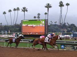 Santa Anita Park officials want a return to finishes like this in the 2019 Monrovia Stakes. The track's proposed Friday reopening is in limbo pending approval from the health department. (Image: Mark Ralston/AFP-Getty)