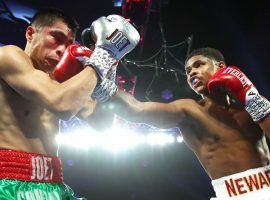 Shakur Stevenson (right) punches Joet Gonzalez (left) in a WBO world featherweight title fight on Nov. 26, 2019. (Image: Mikey Williams/Top Rank)