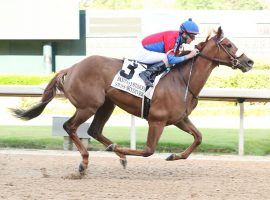 Swiss Skydiver jumped into center stage among 3-year-old fillies by winning the Fantasy Stakes at 16/1. She will stay in the States for her next race, the Santa Anita Oaks. (Image: Coady Photography/Oaklawn Park)