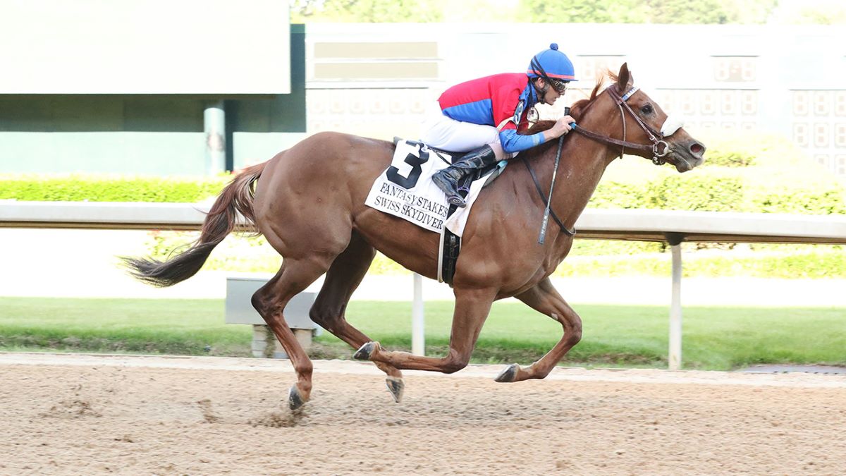 Swiss Skydiver Winning Fantasy Stakes