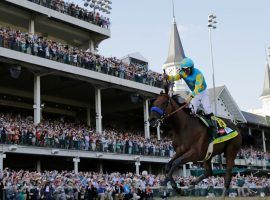 Victor Espinoza aboard American Pharoah ended the 2015 Road to the Kentucky Derby. The new Derby Trail resumes at Churchill Downs May 23. (Image: AP Photo/David J. Phillip)