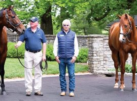 Triple Crown winners American Pharoah (left) and Justify, who flank their trainer, Bob Baffert. This is the company awaiting Tiz the Law when he starts his stud career at Ashford Stud in Kentucky. (Image: Coolmore America)