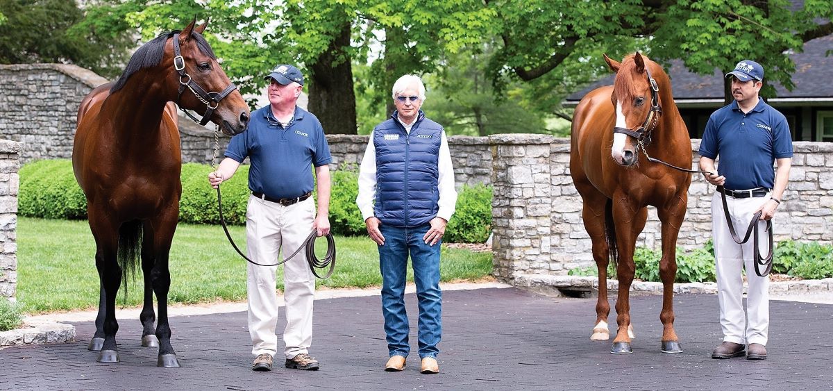 Tiz the Law-Coolmore