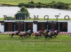 The Arlington Park finish line won't have some of the world's top Thoroughbred horses sprint through it this year. Track officials and Illinois horsemen can't reach an agreement on 2020 racing. (Image: John J. Kim/Chicago Tribune