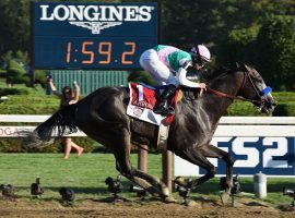 Arrogate became the first horse in Saratoga history to break 2 minutes for 1 1/4 miles when he won the 2016 Travers Stakes. The richest horse in terms of on-track earnings was euthanized Tuesday. He was 7. (Image: Peter Barber/Daily Gazette)