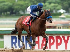 Cezanne captured more than his debut race earlier this month. He seized the imagination of value-hunting Kentucky Derby bettors. (Image: Benoit Photo)