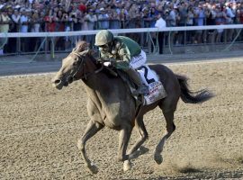 Code of Honor's most impressive victory of 2019 came at the Travers Stakes in August. He opens his 4-year-old season Saturday at Belmont Park. (Image: Associated Press)
