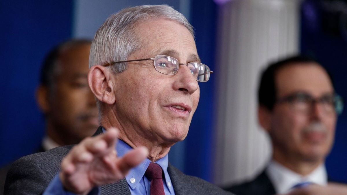 Dr. Anthony Fauci-Horse Namesake