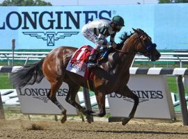 John Velasquez and Gamine practiced social distancing in last Saturday's Acorn Stakes. The standout filly could run against the boys in the Preakness Staeks in October. (Image: Coglianese Photos)