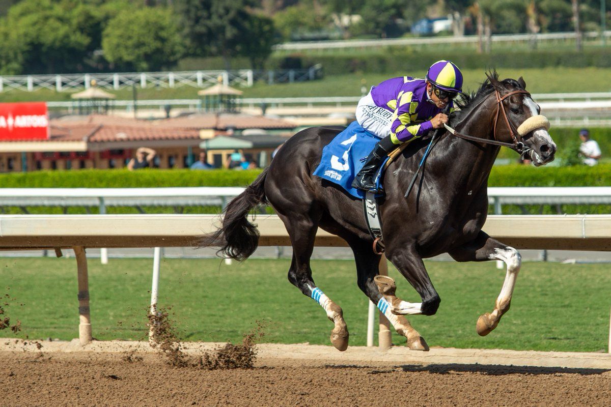 Honor A.P. Santa Anita Derby