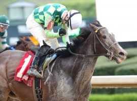 Four times in her six-race career, Kimari prompted jockey celebrations -- like this one from Channing Hill in April. She goes for her first Royal Ascot victory in Friday's Commonwealth Cup. (Image: Coady Photography)