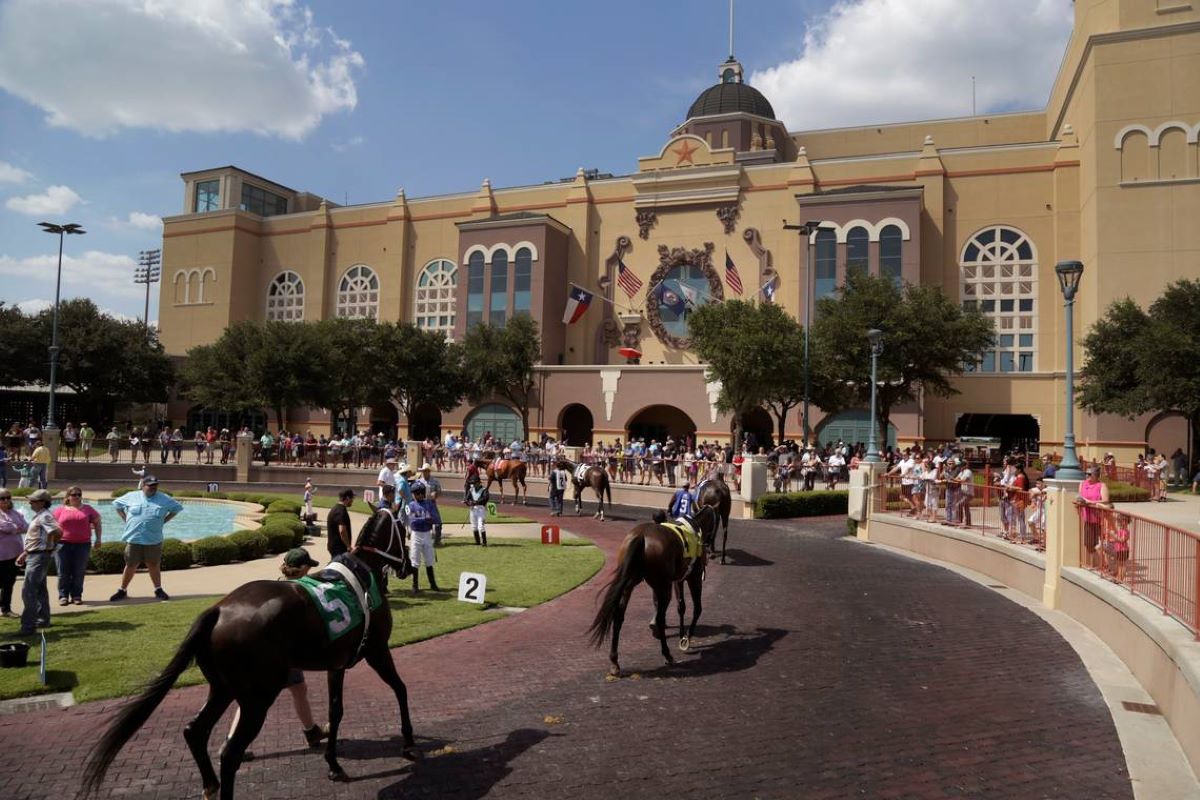 Lone Star Park Allowing Fans