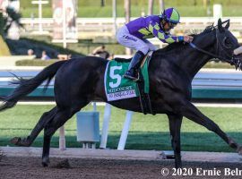 Midcourt owns five victories in his lsat seven races, including February's San Pasqual Stakes. He is the 2/1 co-second favorite for Saturday's Hollywood Gold Cup. (Image: Ernie Belmonte)