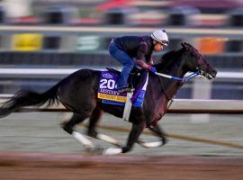 The Breeders' Cup Distaff is Midnight Bisou's season goal. Winning Saturday's Fleur de Lis at Churchill Downs will get her into the field for the Nov. 7 Distaff. (Image: Scott Serio/Eclipse Sportswire)