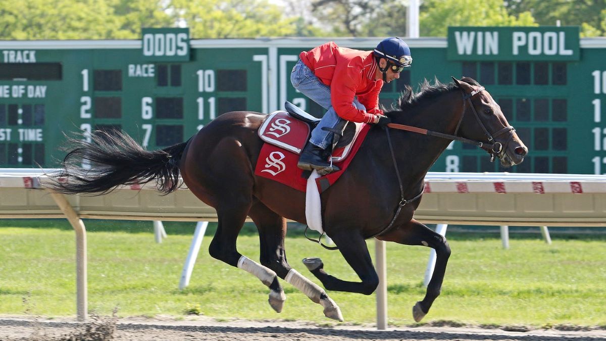 Mind Control-Carter Handicap