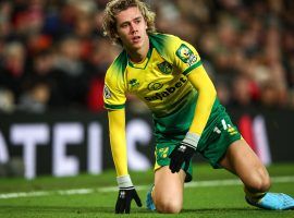 Norwich City is likely headed for relegation, as they are last in the Premier League and six points behind their closest competitor. (Image: Robbie Jay Barratt/AMA/Getty)