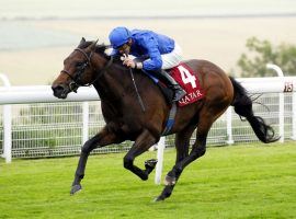 Pinatubo put on a vintage performance in last year's VIntage Stakes, winning by five lengths. He is the prohibitive favorite to win the first English Classic of the season -- the 2,000 Guineas. (Image: Godolphin Racing)